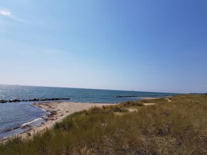 A beach with a clear sky, calm sea, and grassy dunes.