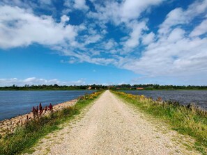 A gravel path leading to a body of water with a clear sky above.