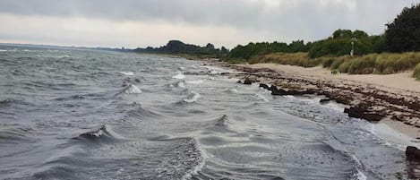 Una playa con olas rompiendo sobre la orilla, arena dorada y una hilera de árboles al fondo.