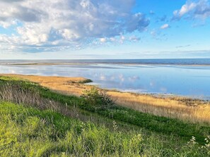 A coastal landscape with a calm body of water, grassy areas, and a clear sky.