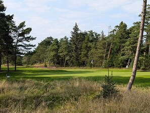 House | Golf - 5 Star Holiday Home in Blavand (Blavand)