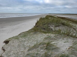 House | Beach - 5 Star Holiday Home in Blavand (Blavand)
