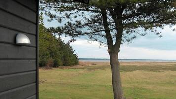 House | View from property