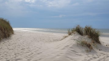 House | Beach