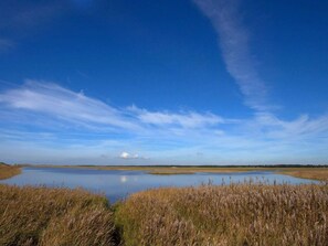 A tranquil wetland landscape with a clear sky and a calm body of water. - 5 Star Holiday Home in Blavand (Blavand)