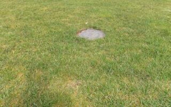 A grassy area with a circular patch of bare ground.