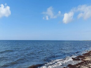 House | Water view - 5 Person Holiday Home in Rodby-by Traum (Rodby)