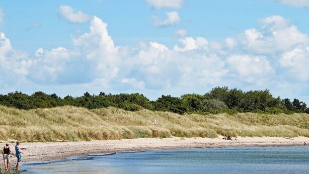 A beach with people near the water, a sandy shore, and a grassy dune area. - 6 Person Holiday Home in Rodby-by Traum (Rodby)