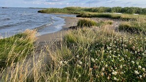 A coastal landscape with a sandy beach, grassy dunes, and a calm sea. - 4 Star Holiday Home in Ulfborg (Ulfborg)