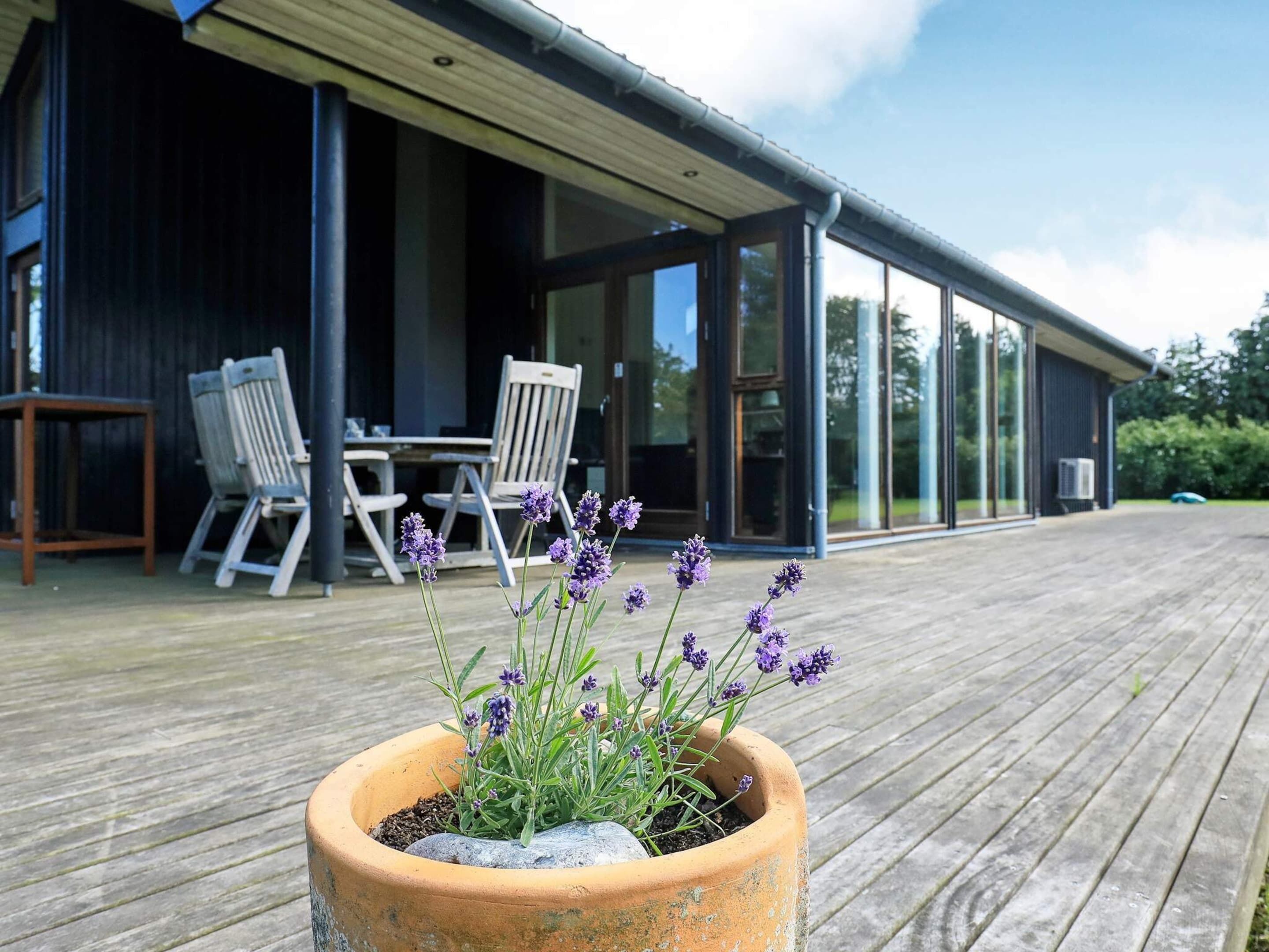 Ferienhaus | Blick von der Unterkunft