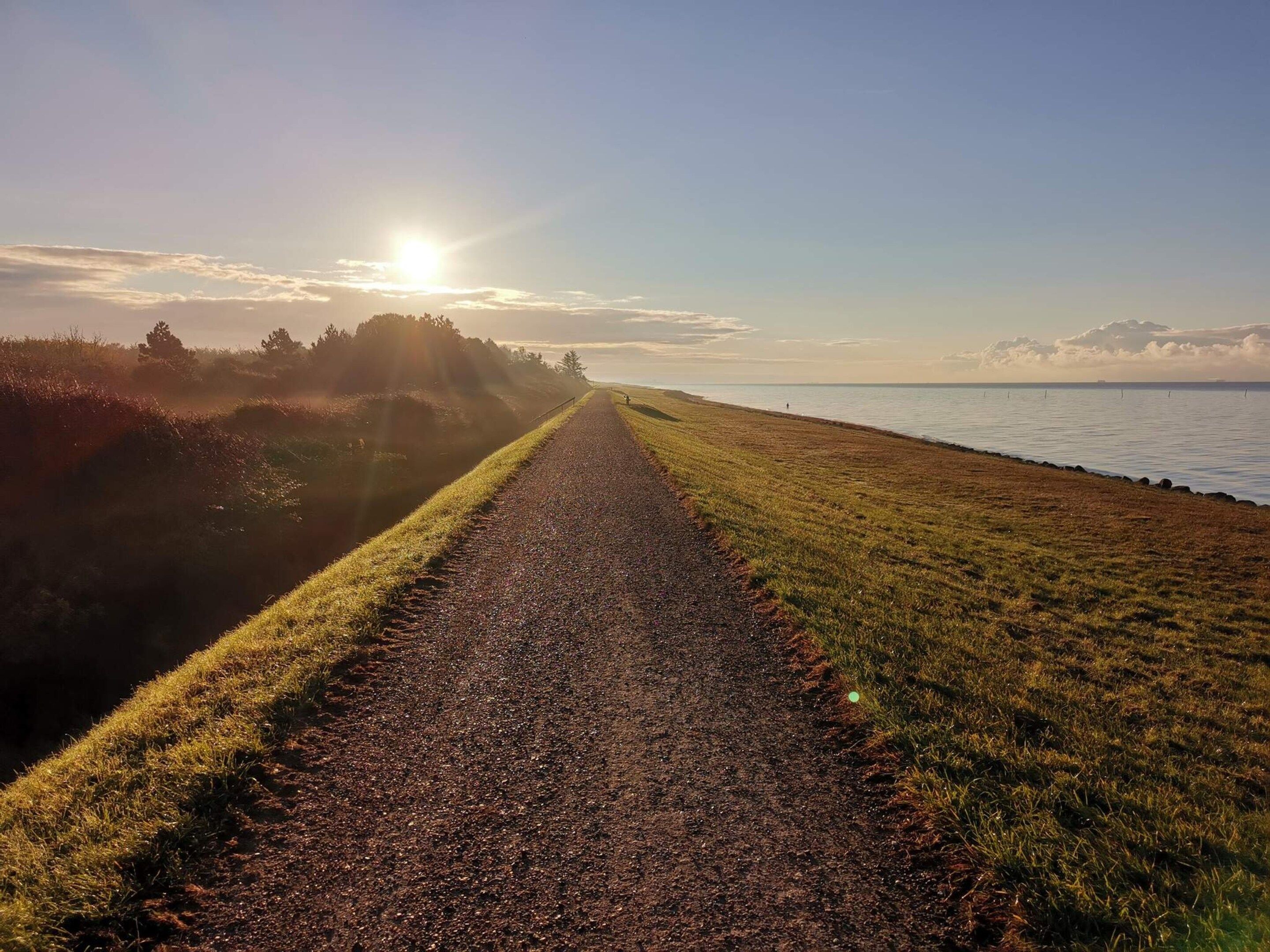 A straight path leading to a body of water with a clear sky above.