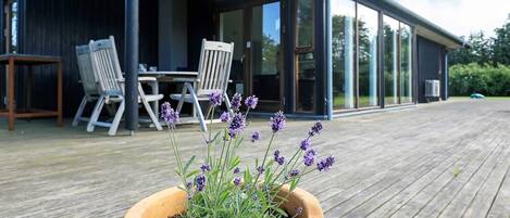 House | View from property