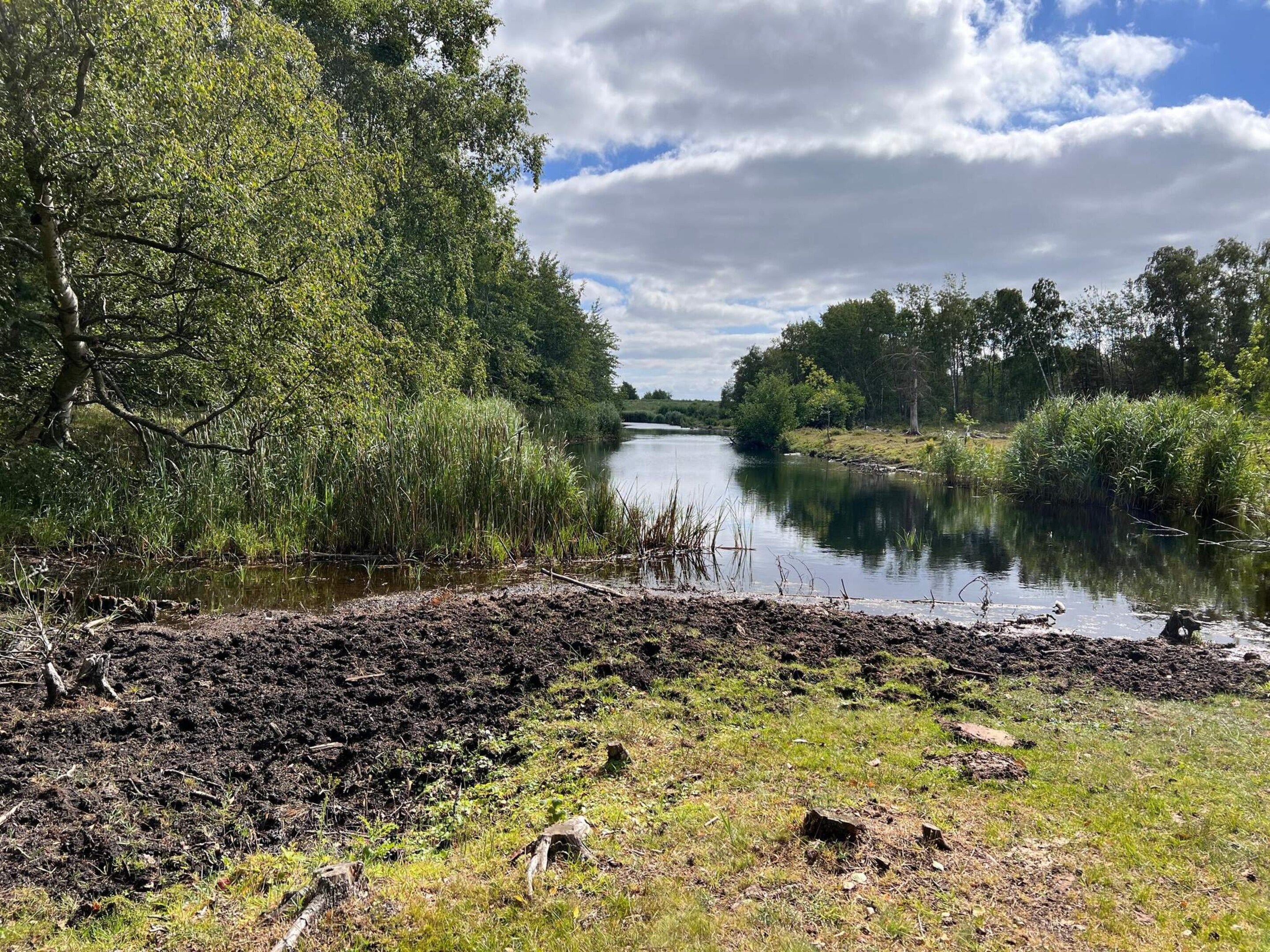 Une rive bordée d’une végétation luxuriante et d’une étendue d’eau calme.