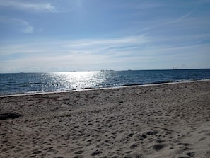 A beach with a sandy shore and the ocean in the background.