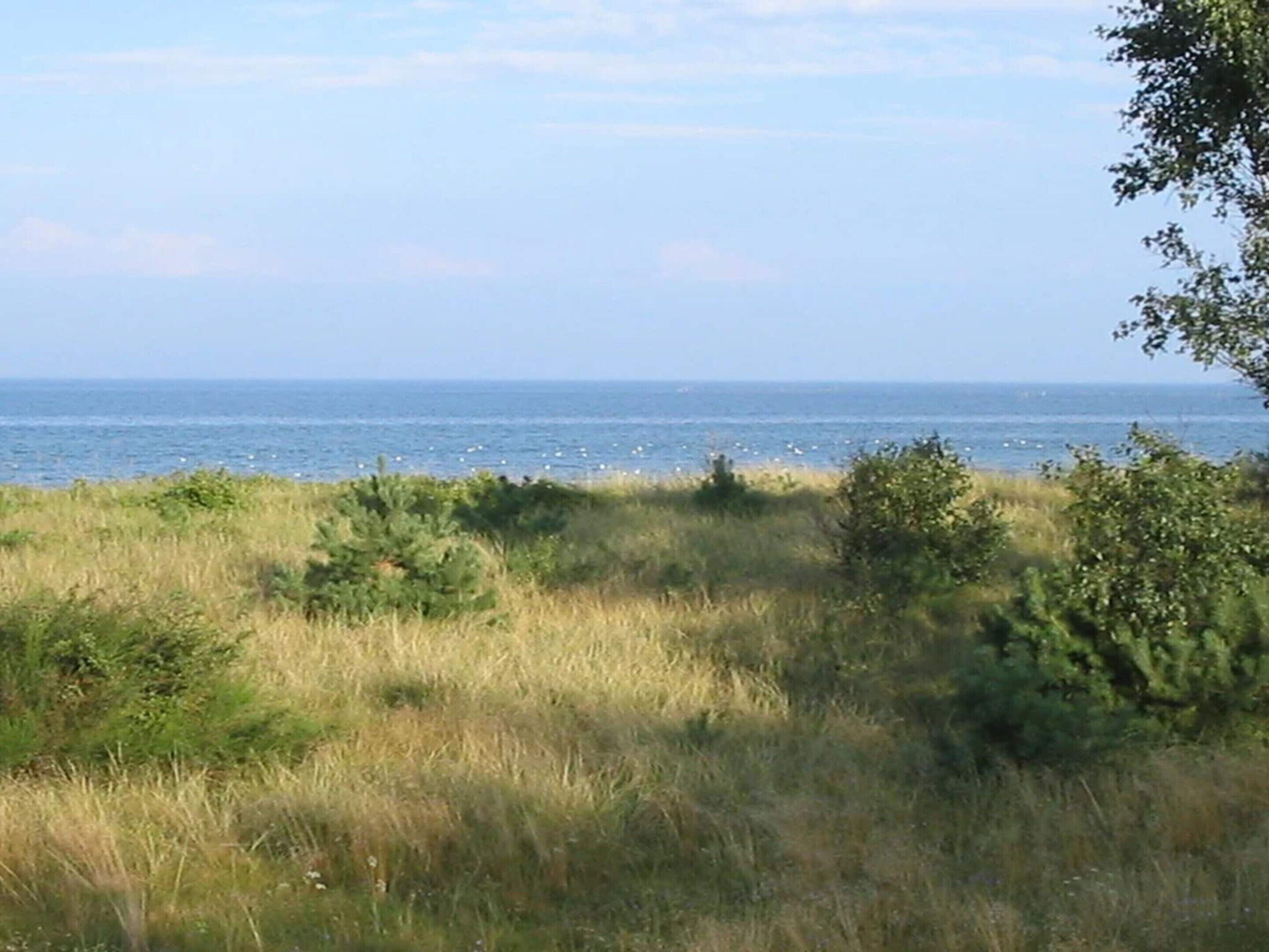 Een kustlandschap met gras, struiken en uitzicht op zee.