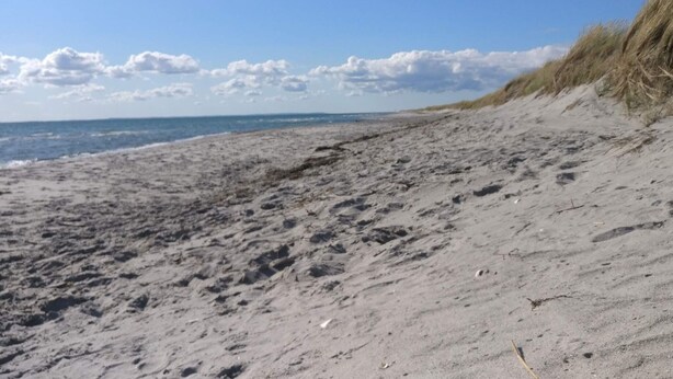 A sandy beach with dunes and a clear sky. - Cozy Holiday Home in Læsø near Sea (Læsø)