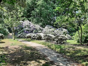 Casa | Jardines del alojamiento