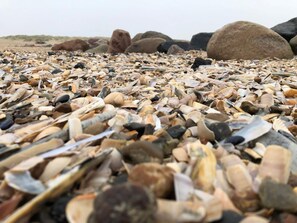 Casa | Imagen general