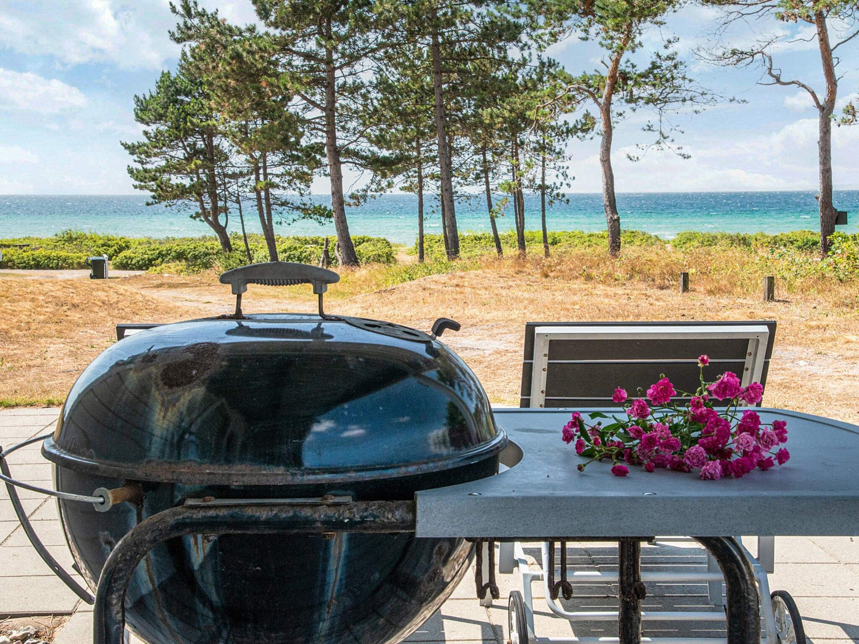 Ein Grill mit Blick auf das Meer und Bäume.