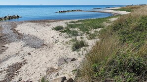 House | Beach - 12 Person Holiday Home in Rodby (Rodby)