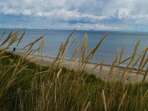 Une plage avec de hautes herbes au premier plan et une personne qui marche sur le sable.
