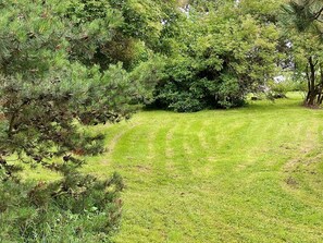 A well-maintained grassy area with dense trees and shrubs.
