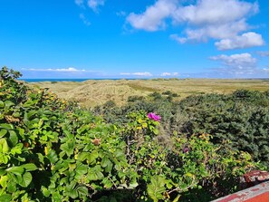 House | View from property - Peaceful Holiday Home in Jutland near Sea (Hvide Sande)