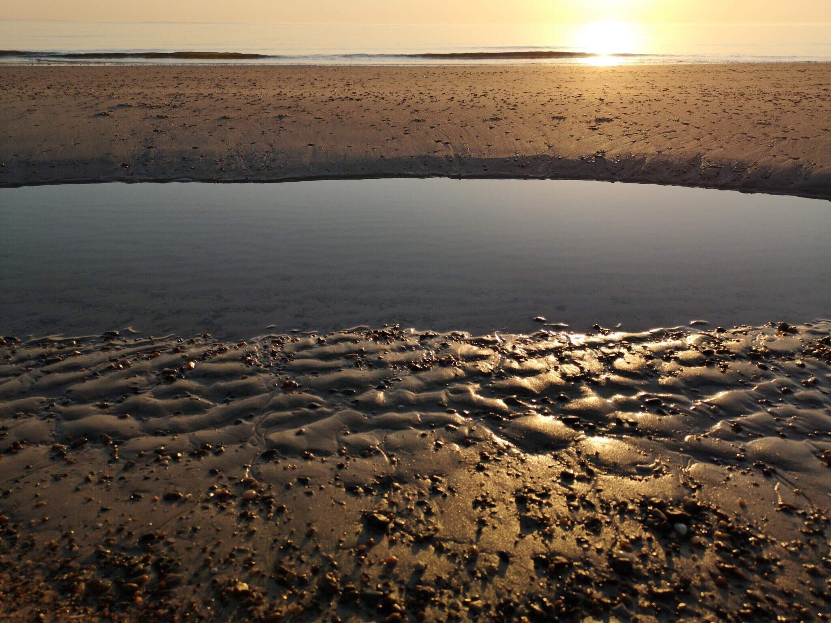 A beach scene with a calm sea, sandy shore, and a clear sky.