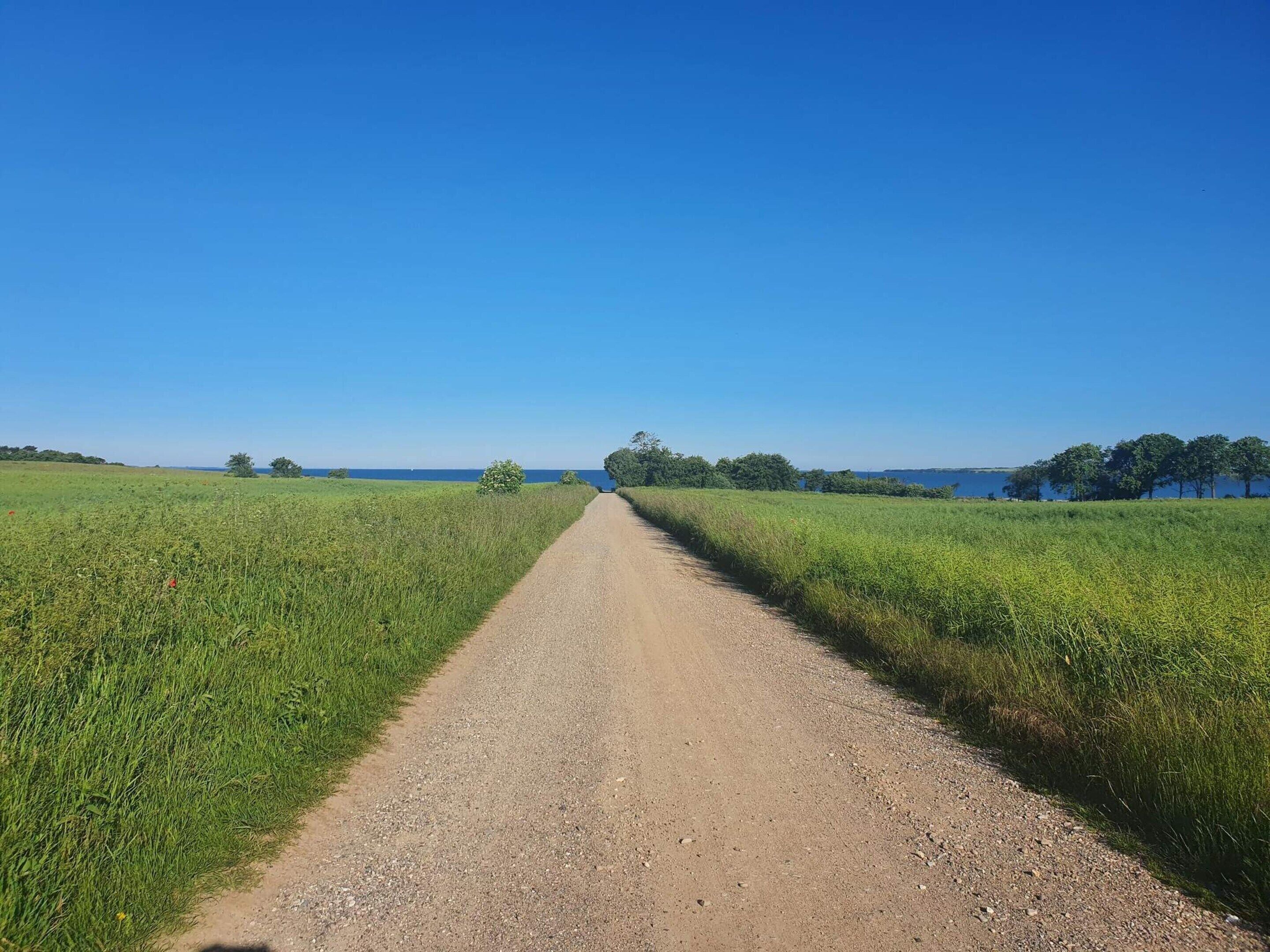 A gravel road leading through a green field with trees on both sides and a body of water in the distance.