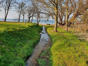 House | Miscellaneous - Luxury Retreat by the Sea - By Traum Ferienwohnungen (Faaborg)