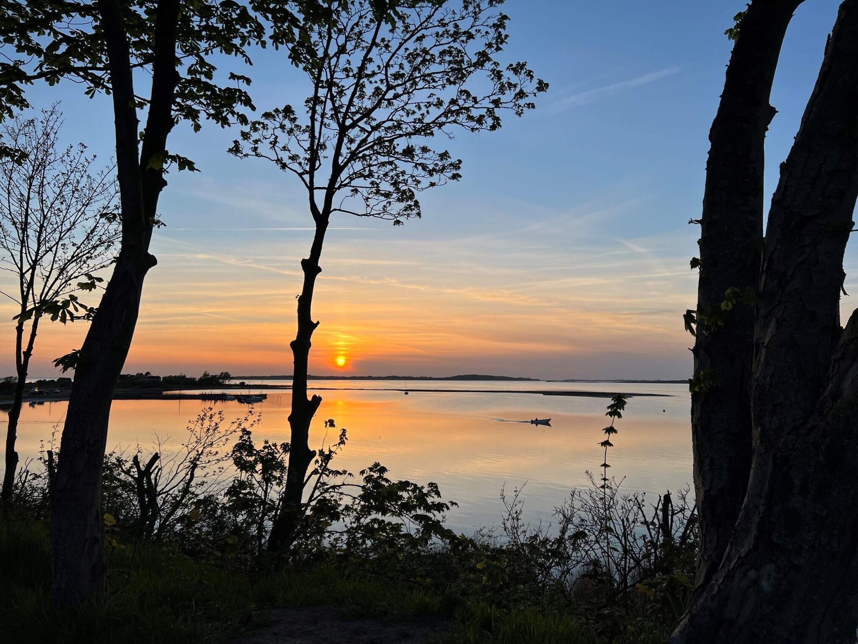 Een zonsondergang boven een rustig meer met bomen op de voorgrond.