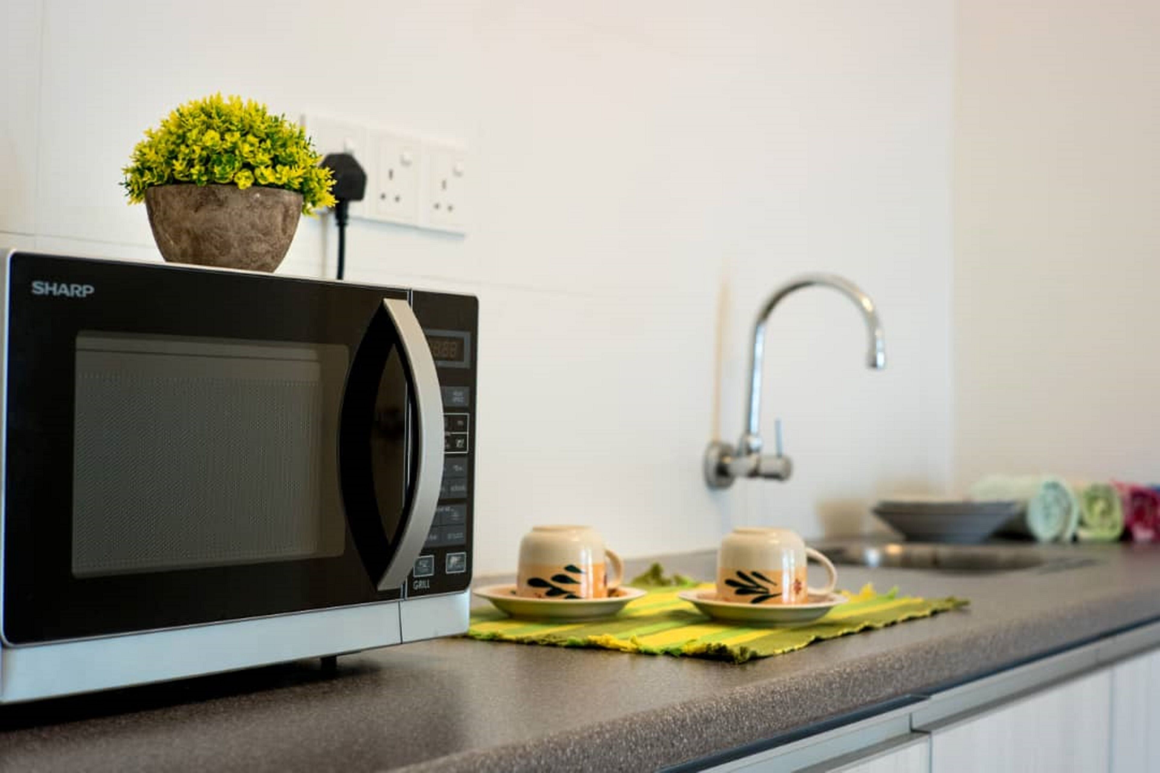Cozy Apartment Suite at Georgetown