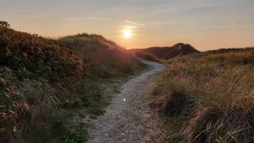 A gravel path leading through a natural landscape with grass and bushes, under a clear sky.