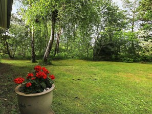 House | View from property - Cozy Holiday Home in Brovst near Langdal Plantation (Brovst)