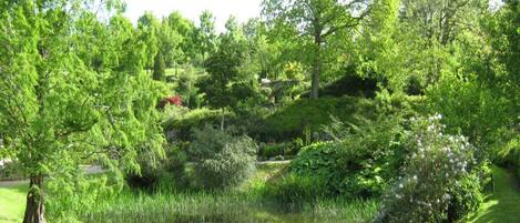 House | View from property