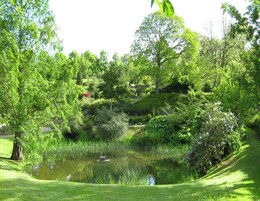 Vista desde la propiedad