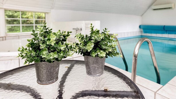 A poolside area with a glass table holding two potted plants, a pool, and a ladder. - 12 Person Holiday Home in Vaeggerlose (Vaeggerlose)
