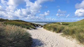 A sandy beach path with dunes on either side, leading to the ocean.