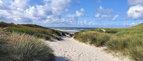 A sandy beach path with dunes on either side, leading to the ocean.