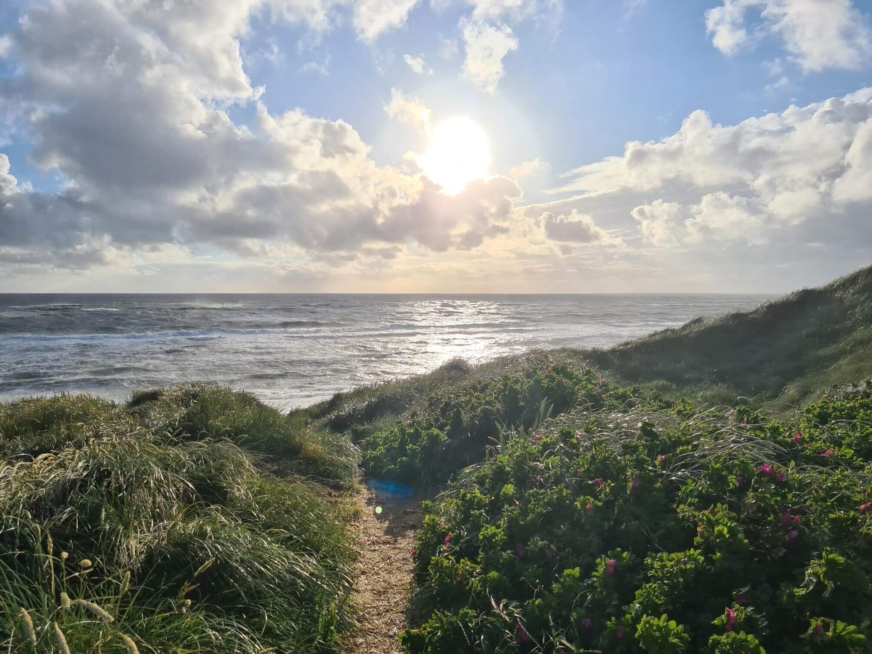 A coastal path with a view of the ocean and a clear sky.