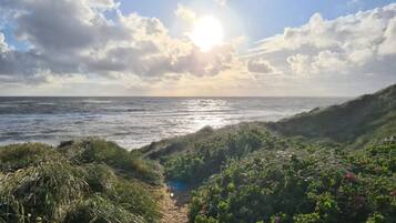 A coastal path with a view of the ocean and a clear sky.
