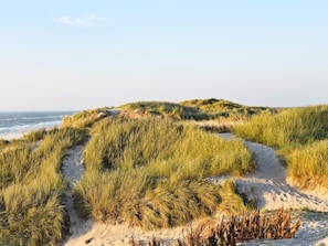 A coastal landscape with sand dunes and grassy vegetation. - 6 Person Holiday Home in Hvide Sande (Hvide Sande)