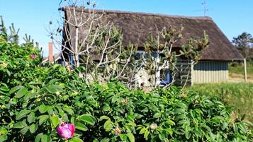 House | View from property