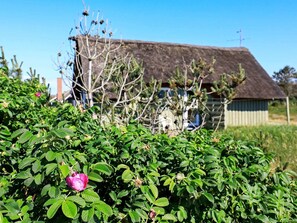 House | View from property