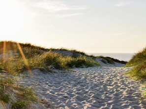 Un sentier de plage sablonneux, bordé de dunes, avec l’océan en arrière-plan.