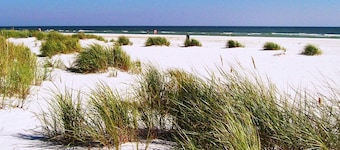 Tranquil Retreat Near Beach - By Traum Ferienwohnungen