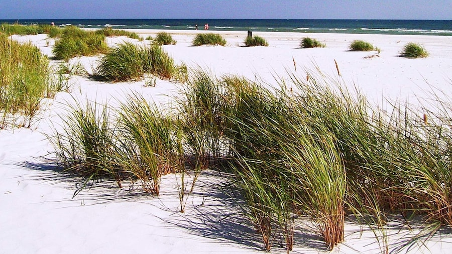 Tranquil Retreat Near Beach - By Traum Ferienwohnungen