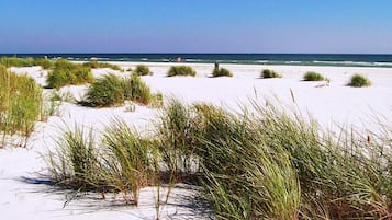 A beach with sand dunes and sparse vegetation.