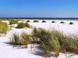 Una spiaggia con dune sabbiose e vegetazione rada.