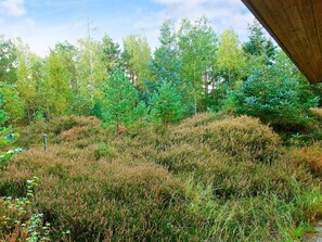 A natural landscape with dense vegetation and trees.